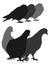 Vector dove silhouettes