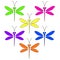 Vector dragonflies of different bright colors on the white backg