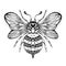 Vector drawing of a bee tattoo. Monochrome drawing of honeybee with tracery ornament. Insect with wings with boho ornament