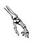 Vector drawing. Bones of the hand