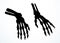 Vector drawing. Bones of the hand