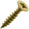 Vector drawing, brass self-tapping screw closeup on a white