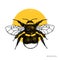 Vector drawing of Bumlebee. Hand drawn insect sketch isolated on white. Engraving style bumble bee illustrations.
