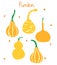 Vector drawing of lagendaria ordinary, calabash, bottle gourd, lagendaria snakelike, indian cucumber, pumpkin, squash, vietnamese