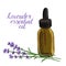 Vector drawing lavender essential oil