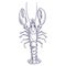 Vector drawing lobster
