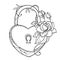 Vector drawing of lock heart with outline ornate roses, leaf and bud in black isolated on white background.