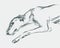 Vector drawing of lying tired greyhound