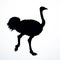 Vector drawing. Ostrich in the steppe