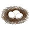 Vector drawing of outline bird nest from twigs with three white eggs isolated on white background. Bird house and family symbol.