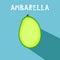 Vector drawing of rare topucal exotic fruit - ambarella. Spondias dulcis, mombin, pomme cythere, polynesian-plum, yellow plum,