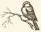 Vector drawing. Small titmouse on a branch