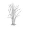 Vector drawing vetiver plant