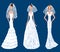 Vector drawing of young brides in different wedding dresses