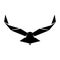 Vector eagle or hawk isolated emblem