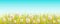 Vector easter background with flowers, grass