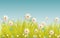 Vector easter background with flowers, grass