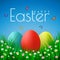 Vector Easter eggs with grass, butterfly and flowers isolated on a blue background. Element for celebratory design