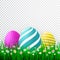 Vector Easter eggs with grass and flowers isolated on a transparent background. Element for celebratory design