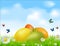Vector Easter eggs on a green field with daisies