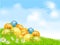 Vector Easter eggs on a green field with daisies