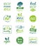 Vector eco,organic,bio logo cards templates. Handwritten healthy eat icons set. Vegan, natural food and drinks signs.