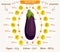 Vector eggplant, infographics.