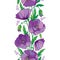 Vector elegance seamless pattern with outline purple Poppy flower, bud and green leaves on the white background. Floral border.