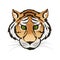 Vector emerald green eyes tiger portrait. Predator head colorful isolated