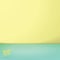 Vector of Empty pastel green and yellow two tone color studio room background ,Template mock up for display