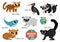 Vector endangered species set. Cute extinct animals collection. Funny illustration for kids with amur leopard, blue whale, black