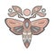 Vector entomology clipart of colorful contour moth with the moon. Color outline butterfly illustration. Line art tracery picture