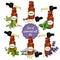 Vector essential oils set 6