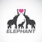 Vector of family elephants and pink heart on white background.