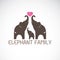 Vector of family elephants and pink heart on white background.