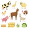 Vector farm animals, birds rural symbols set