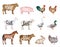 Vector farm animals collection. Butchery icon templates
