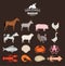 Vector farm animals and seafood collection