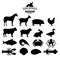 Vector Farm Animals and Seafood Silhouettes Collection