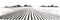 Vector farm field landscape. Furrows pattern in a plowed prepared for crops planting. Vintage realistic engraving sketch