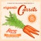 Vector farm poster with carrot