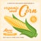 Vector farm poster with cob of corn