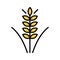 Vector farm wheat ears icon template. Whole grain symbol illustration. Oat growth design concept. Farm agriculture oat sign