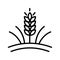 Vector farm wheat ears icon template. Whole grain symbol illustration. Simple oat growth design concept. Farm agriculture oat sign