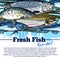 Vector fishing poster with fish catch