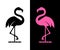 Vector flamingo silhouette