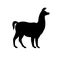 Vector flat black silhouette of llama