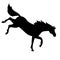 Vector flat cartoon horse kicking silhouette