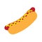 Vector flat cartoon hot dog hotdog icon