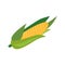 Vector flat corncob or corn ear icon